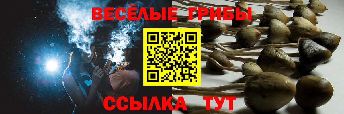 Псилоцибиновые грибы мухоморы  Псилоцибиновые грибы ЛСД  Нерюнгри  Вход с VPN 